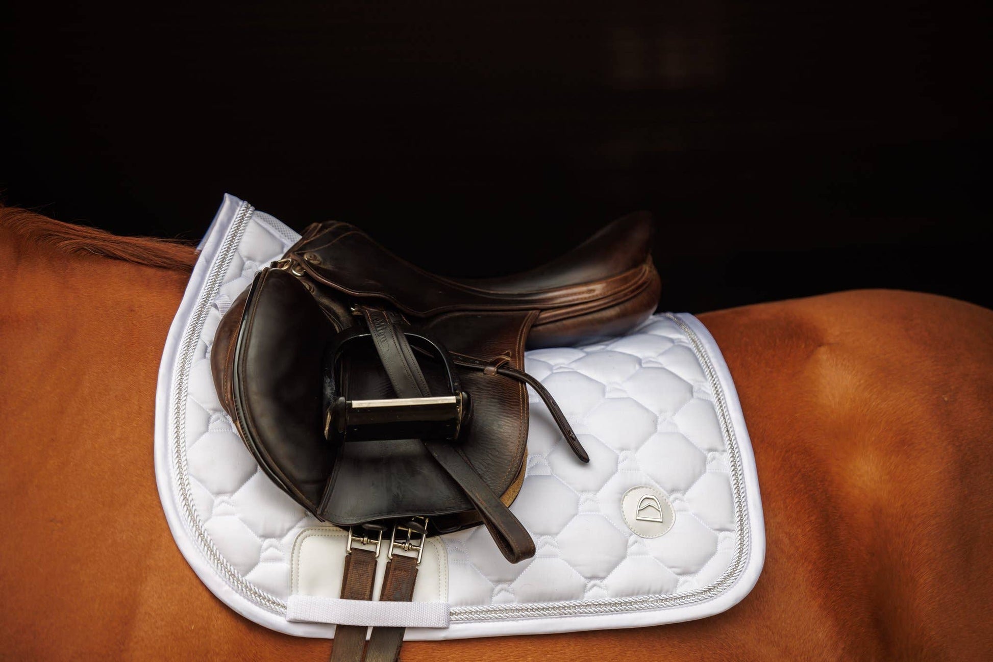 Gorgeous white dressage saddle pad with silver accents