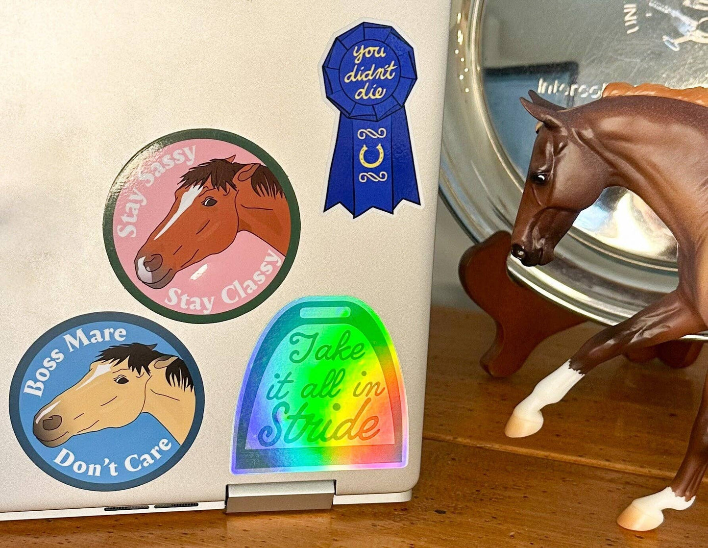 Boss Mare Don't Care Sticker