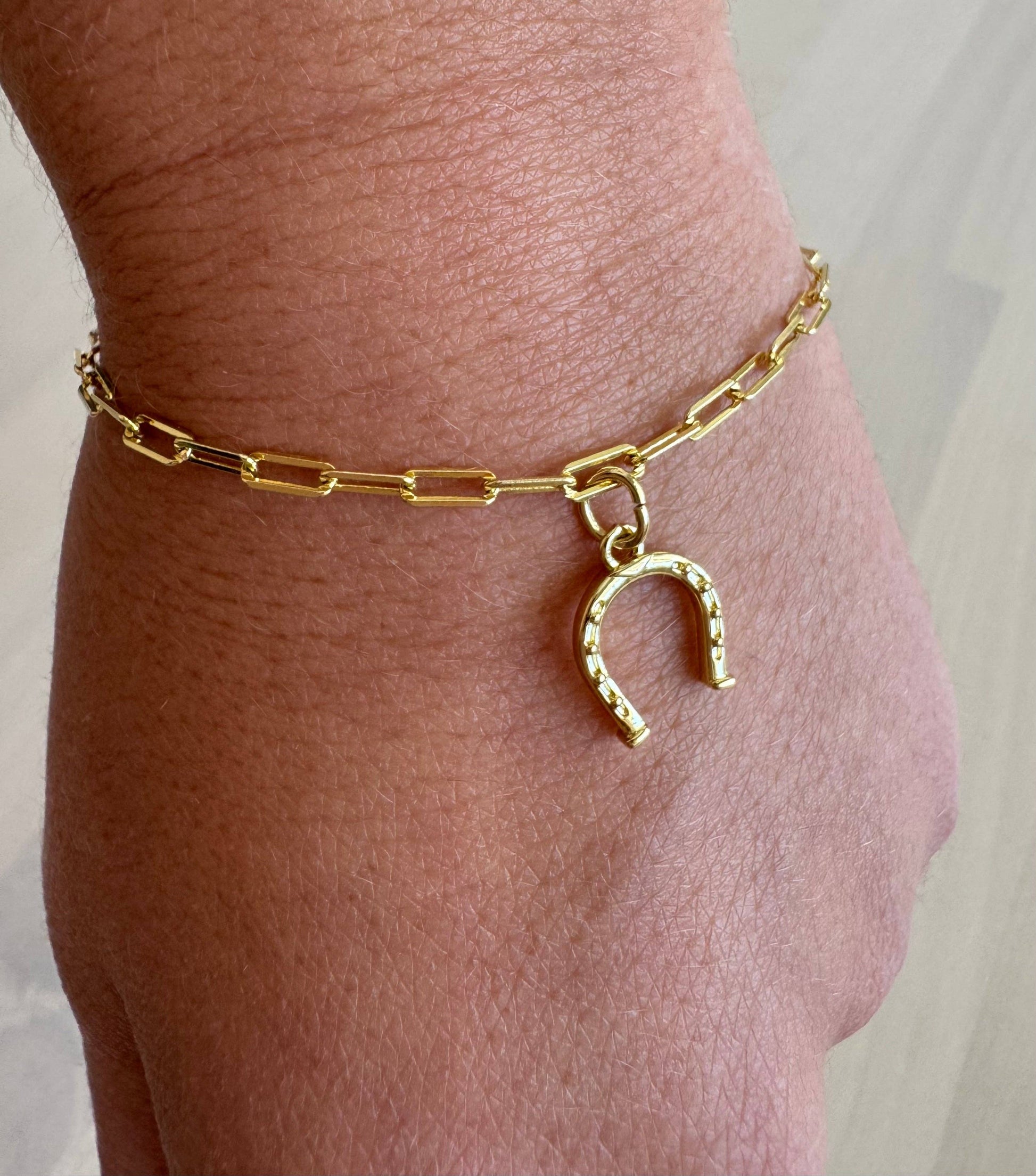 Horse shoe charm bracelet