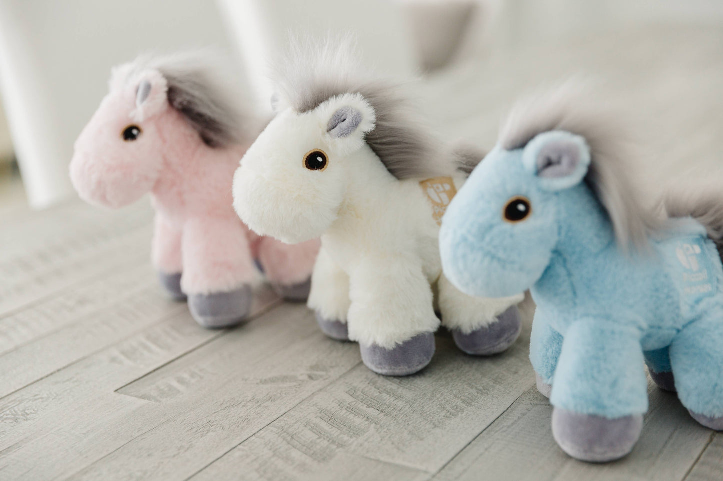 Piccoli Mini Horses