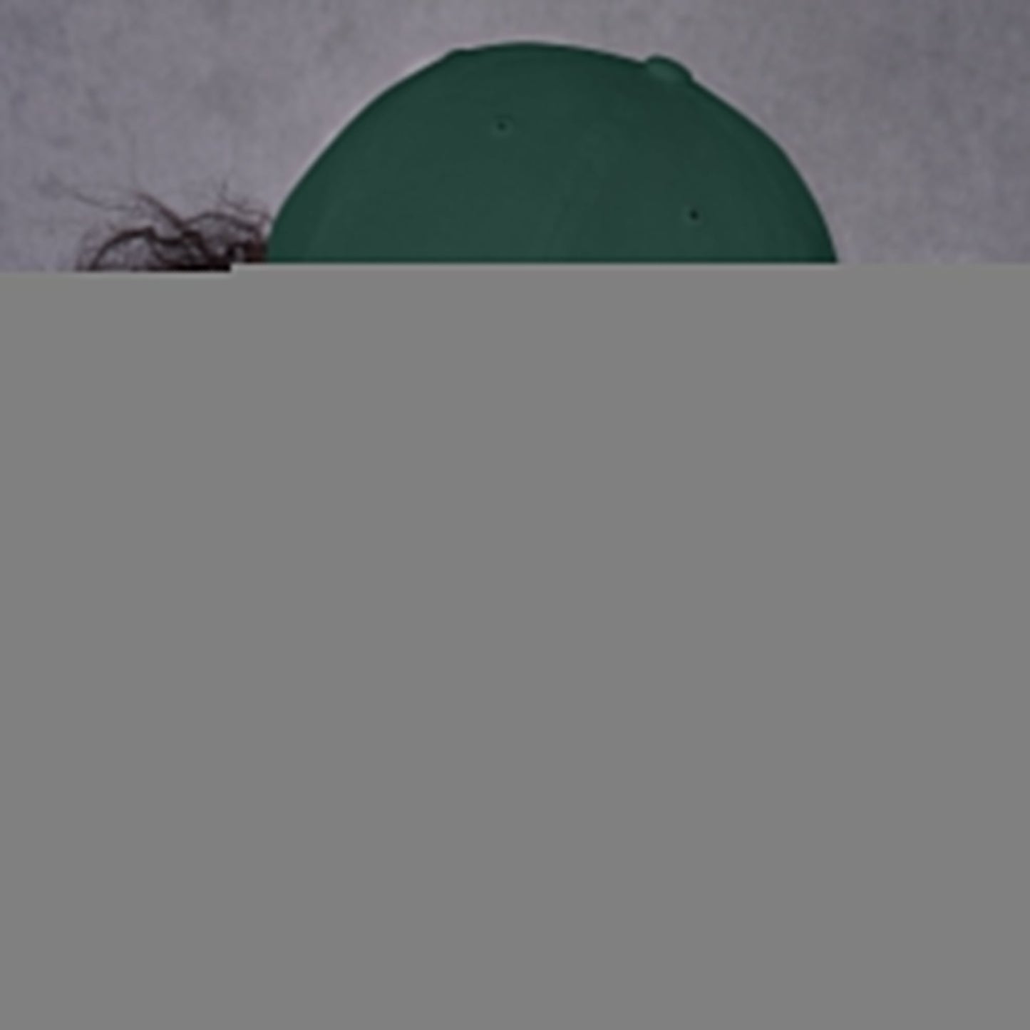 Barn Mom Trucker Hat
