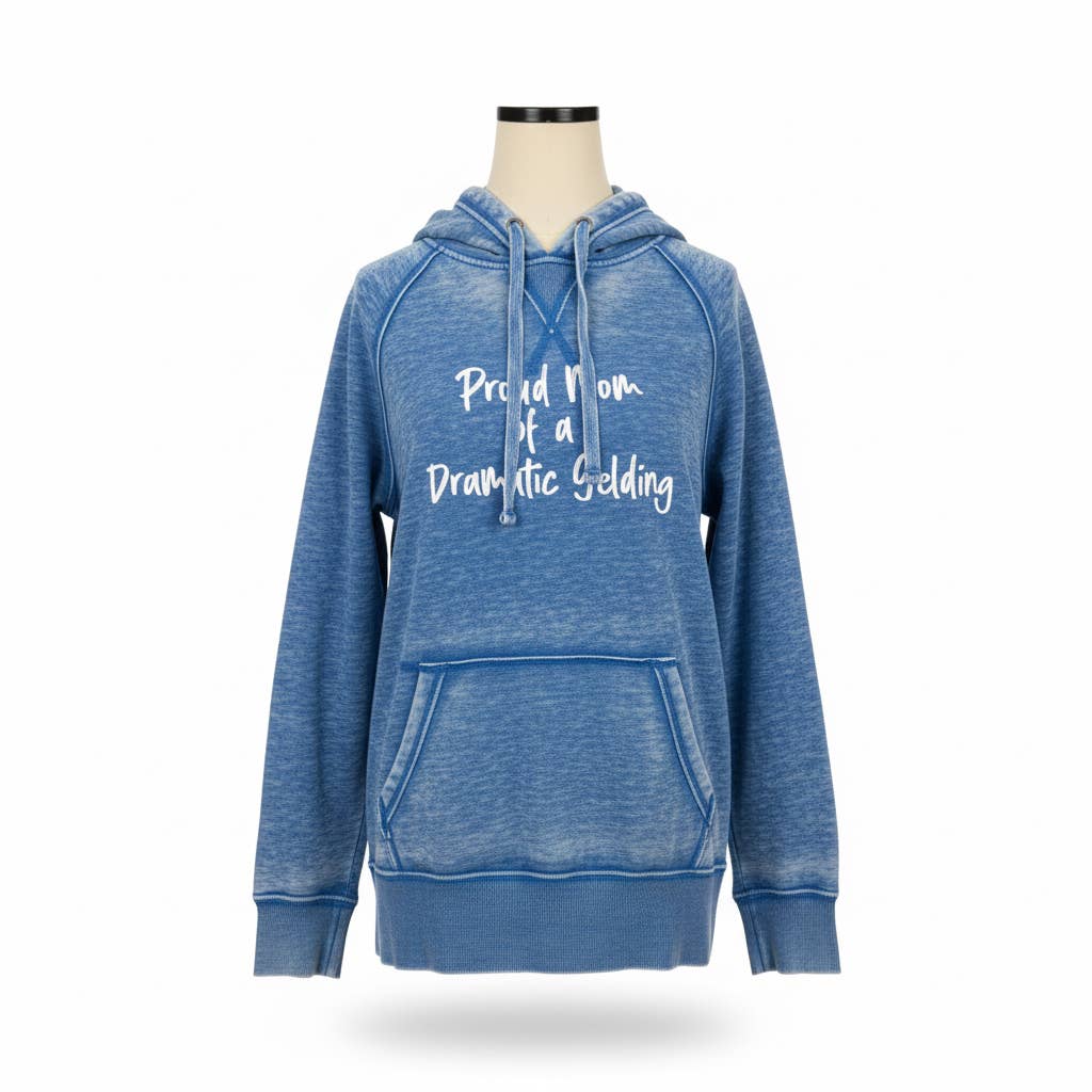 Proud Mom of a Dramatic Gelding Hoodie