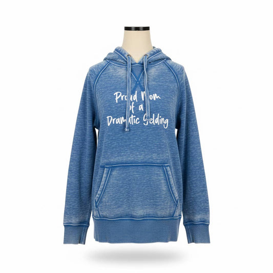 Proud Mom of a Dramatic Gelding Hoodie
