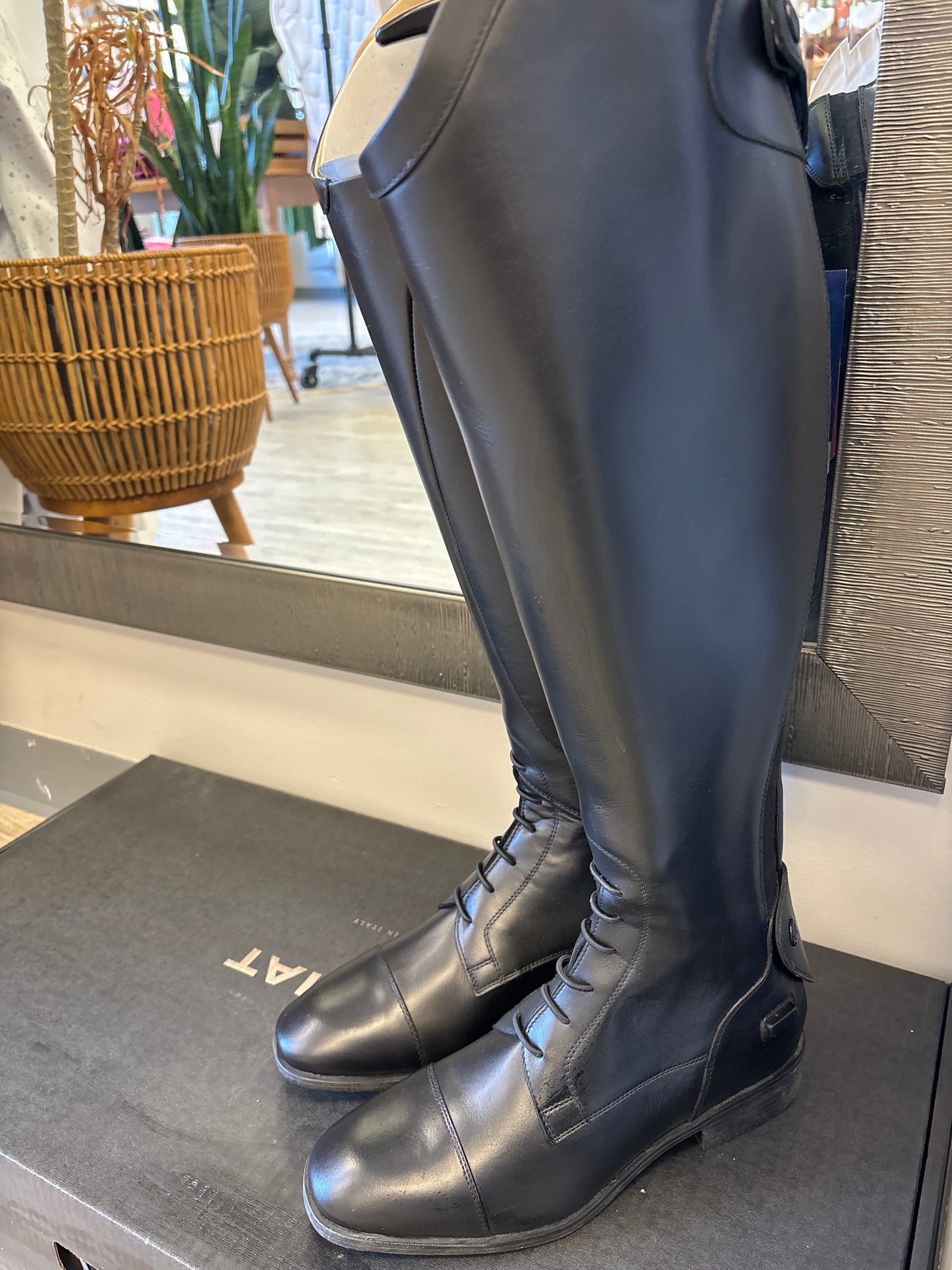 Ariat Ravello Tall Field Boots - Woman's 8 Medium Width