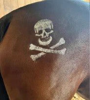 Halloween Stencils